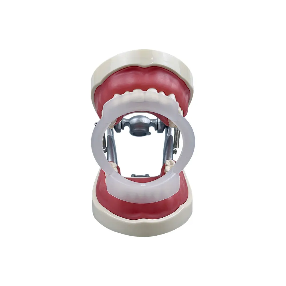 שיניים O-צורה Intraoral שפתיים על הלחי רטרקטור דנטלי בפה פותחן מרחיבי אורתודונטי סד כלים היגיינת הפה הלבנת שיניים