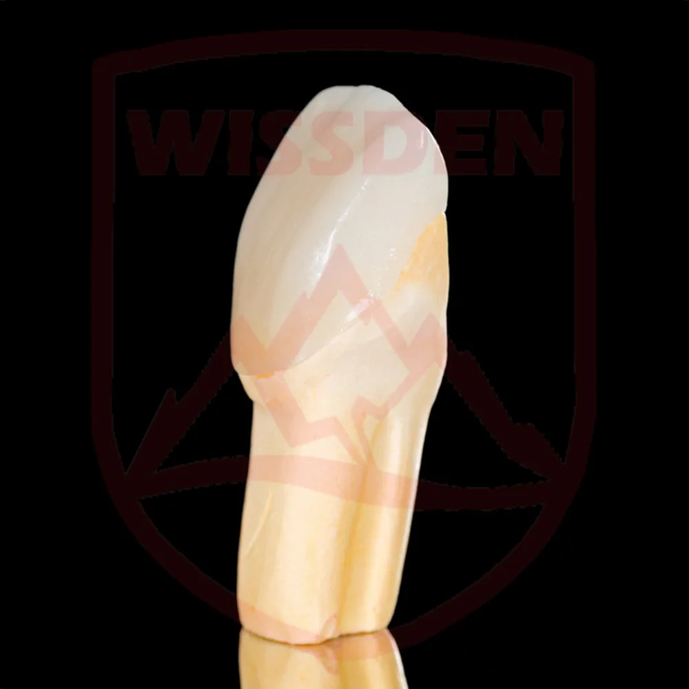 Wissden B40 שיניים זכוכית קרמיקה קוביות CAD/CAM ליתיום Disilicate בלוקים של 5 חתיכות