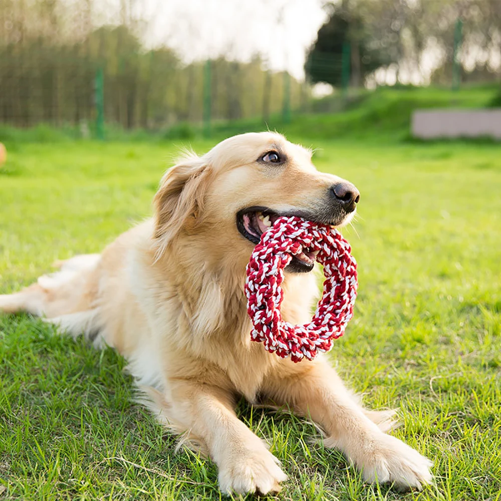 קוטר 19CM צעצועים לכלב ללעוס צעצוע קטן בינוני גדול נשיכת כלב שן טוחנת החבל קשר צעצוע כלב Accesorios מברשת שיניים טוחנת לציוד לחיות מחמד