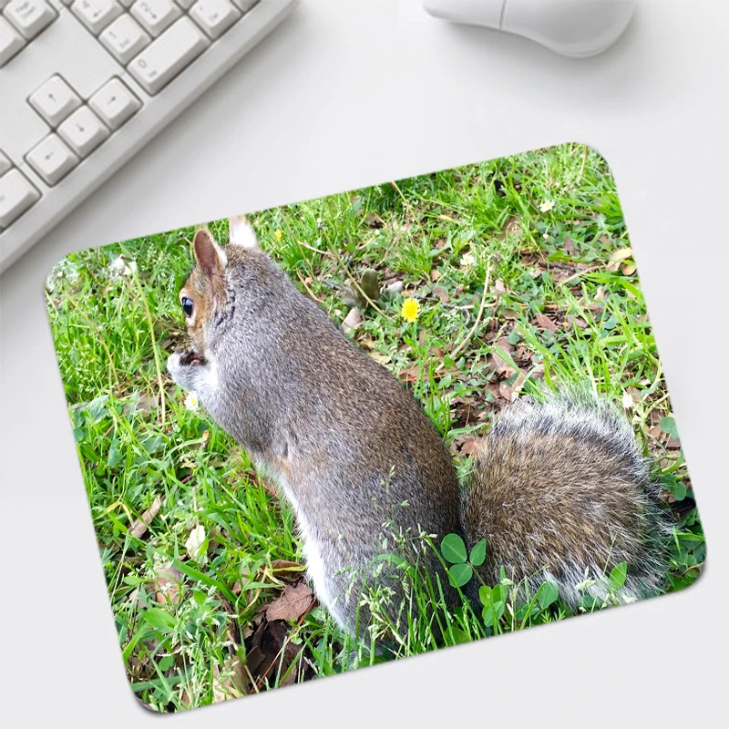 חיה סנאי מודפסים עכבר-פד עכבר המשחקים פד גודל קטן 220x180x2mm קידום לתפקיד שולחן עכברים פנקס הסיטוניים
